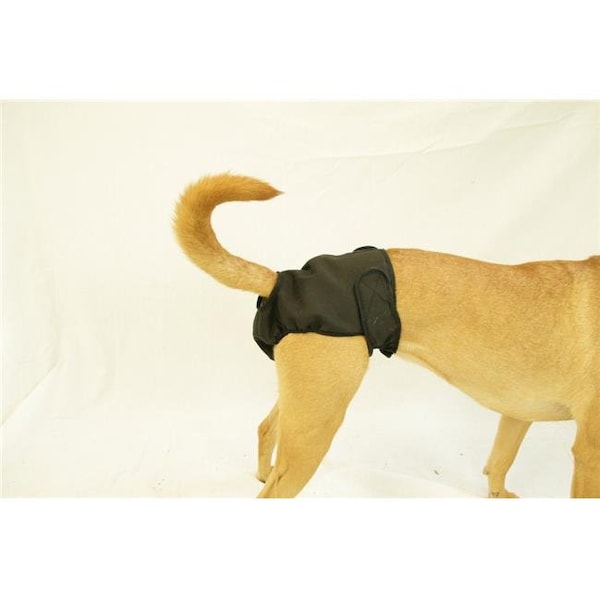 Seasonals Seasonals 41112BLK Washable Female Dog Diaper; Black - Medium 41112BLK - main